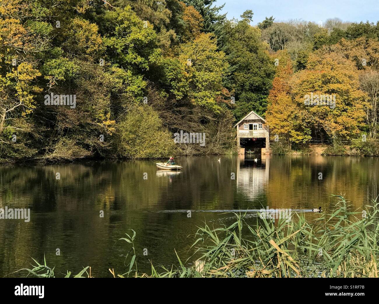 UK Weather: Sunny in Godalming. Winkworth Arboretum, Godalming. 30th October 2017. Beautiful sunshine over the Home Counties today. Winkworth Arboretum near Godalming, Surrey. - Smartphone Captured Stock Image