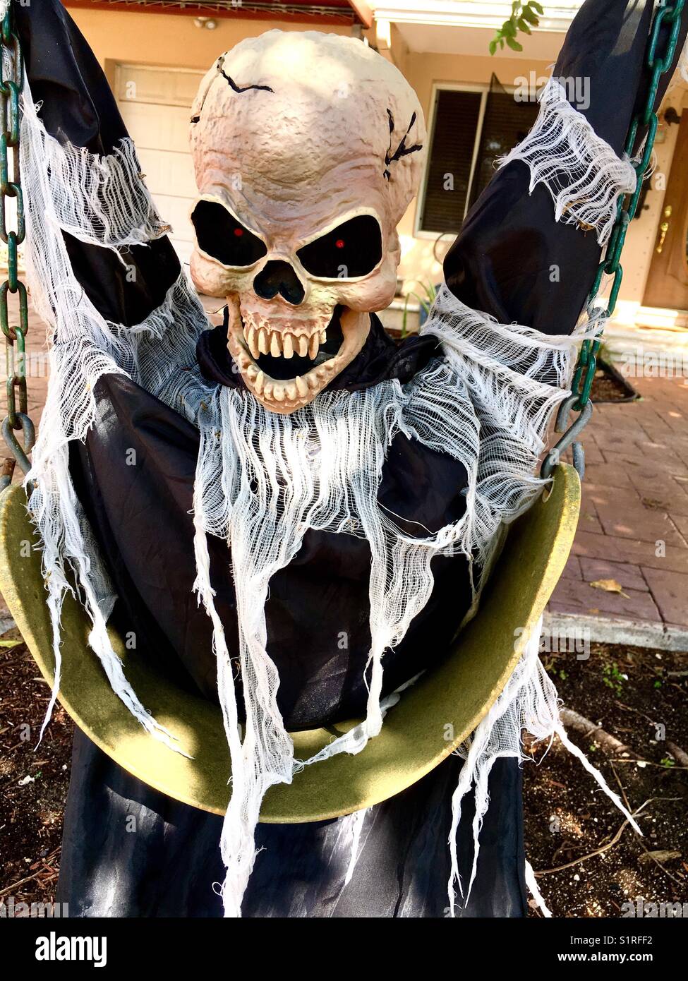 Halloween skeleton - Smartphone Captured Stock Image