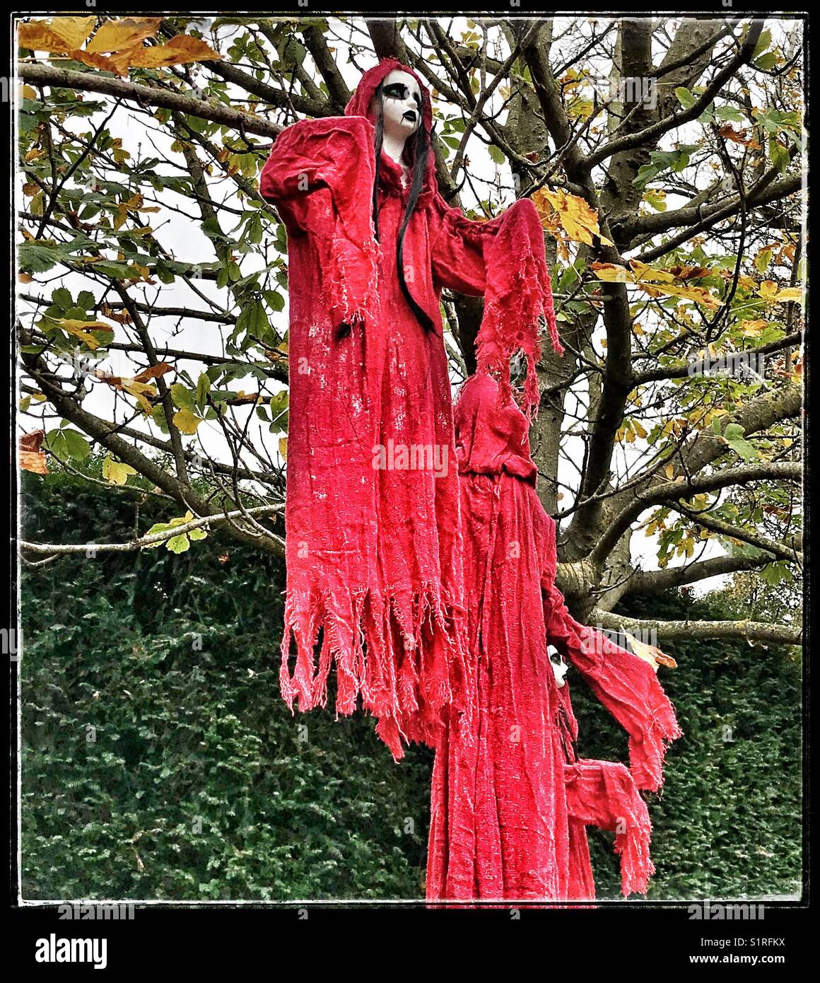 Witches halloween hires stock photography and images Alamy