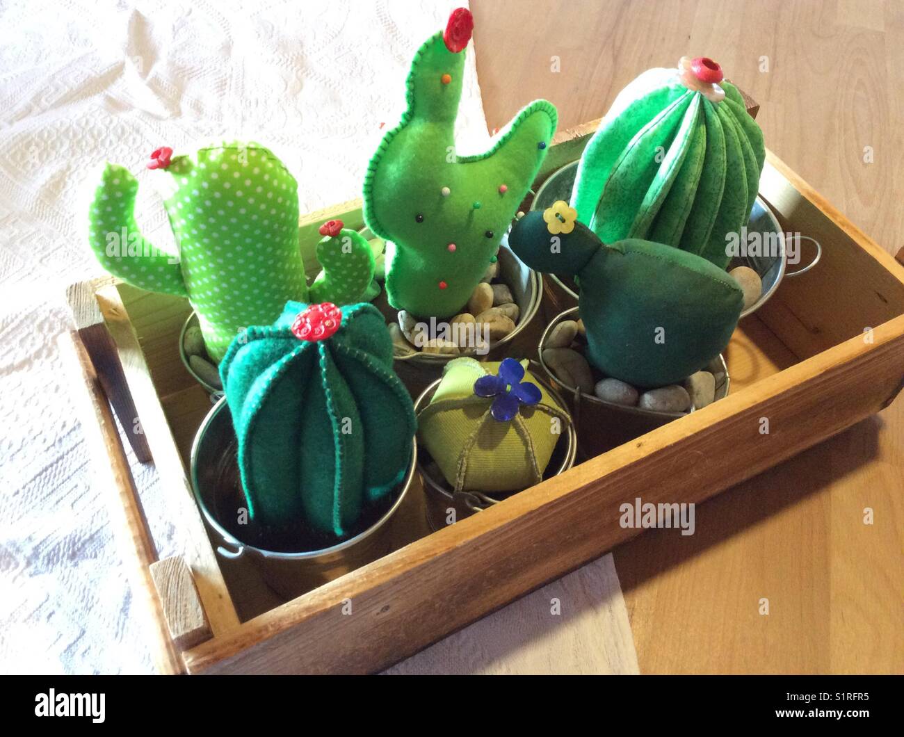 DIY, fake cactus made from cotton fabrics Stock Photo Alamy