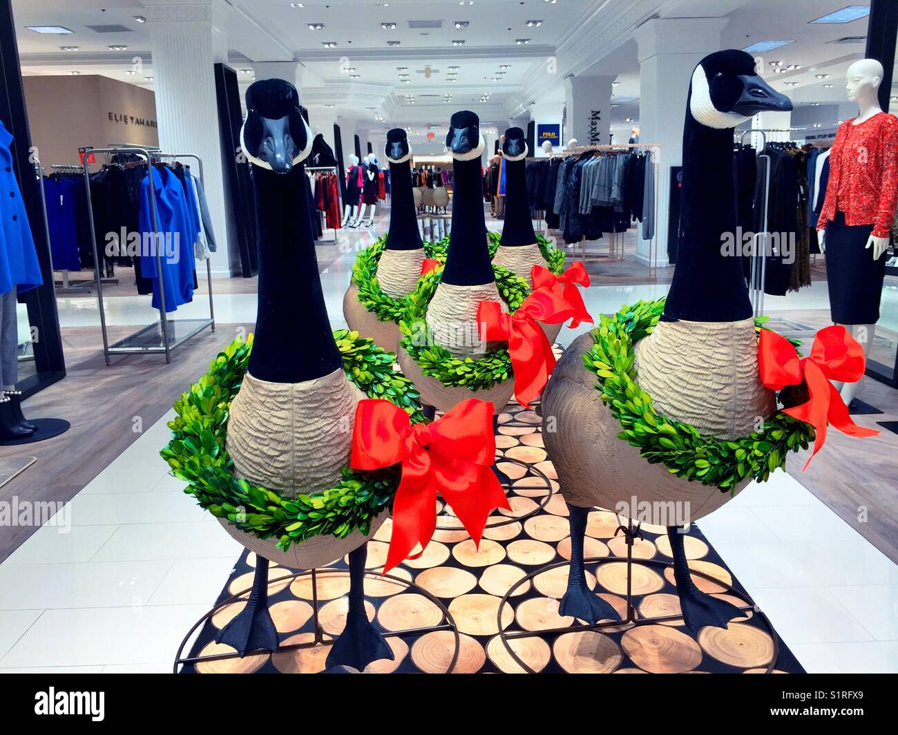 Holiday Display of Canadian geese with red ribbons in upscale department store, NYC, USA Stock Photo