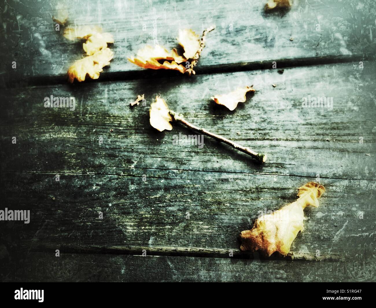 Autumn leaves falling from trees onto a rustic wooden table. Stock Photo