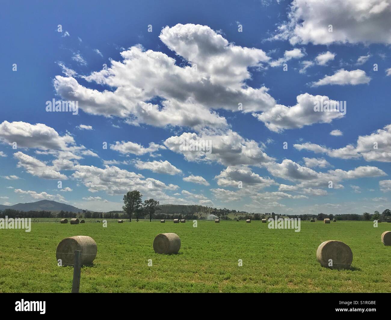 Hay bales on farmland - Smartphone Captured Stock Image