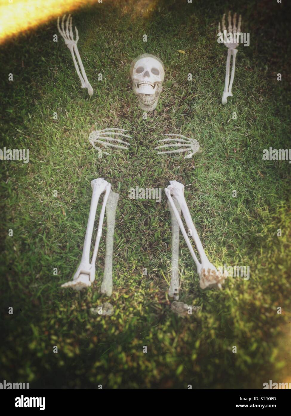 Double exposure of a plastic skeleton coming out of the ground. - Smartphone Captured Stock Image