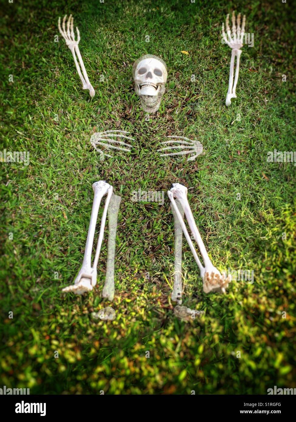 Multiple exposures of a plastic skeleton coming out of the ground Stock ...