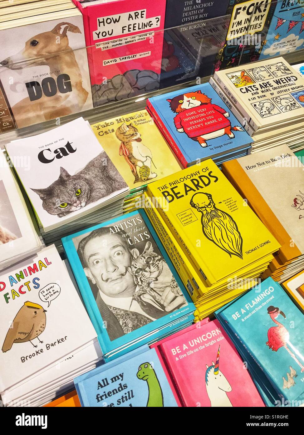 Humorous Books For Sale In Tate Modern In London England Stock Photo humorous-books-for-sale-in-tate-modern-in-london-england-stock-photo