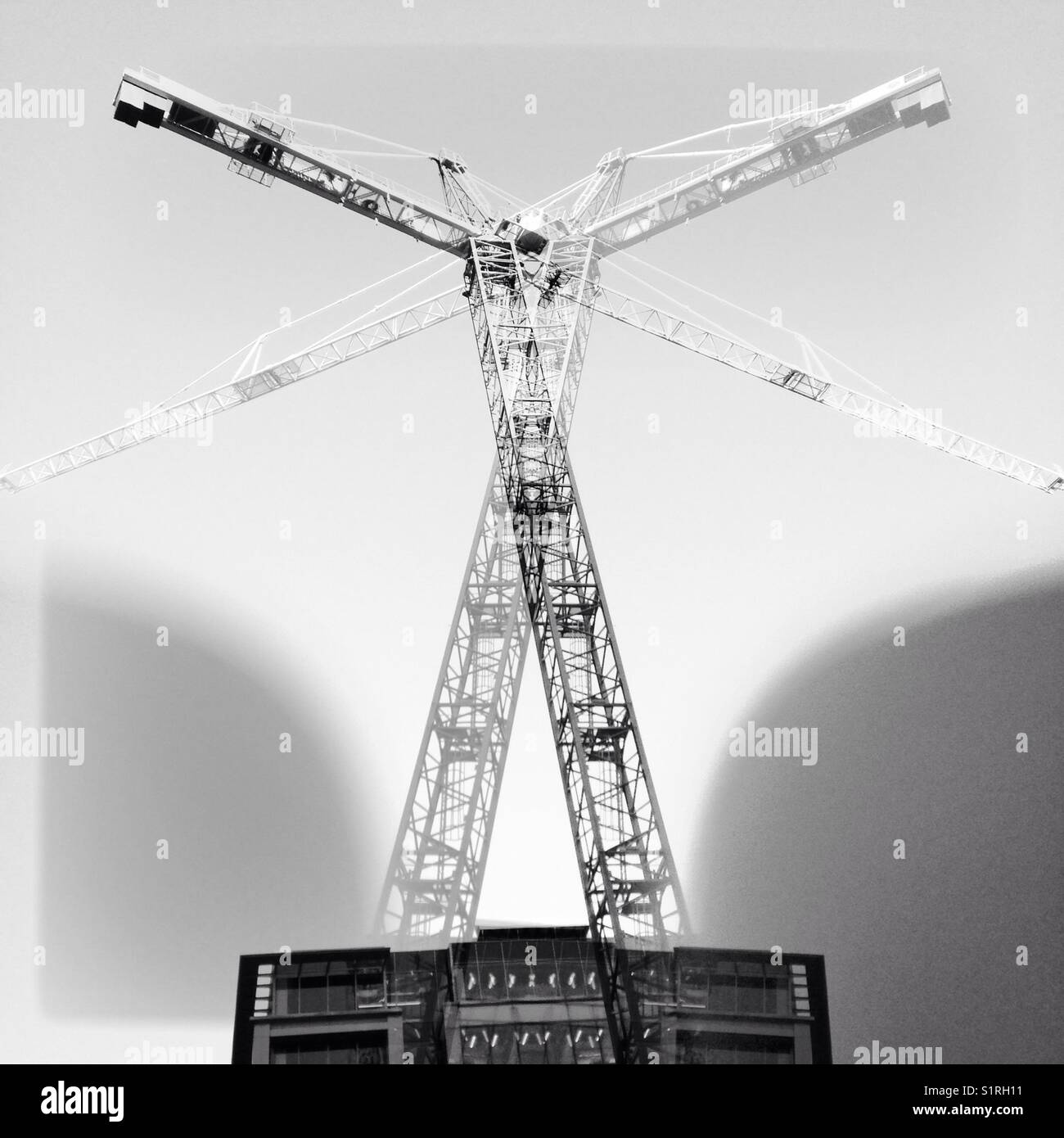 Black and white cranes hi-res stock photography and images - Alamy