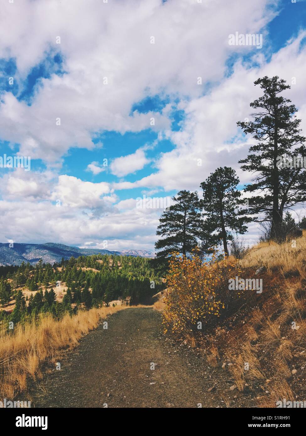 Trail on a hillside on a beautiful Autumn day. - Smartphone Captured Stock Image