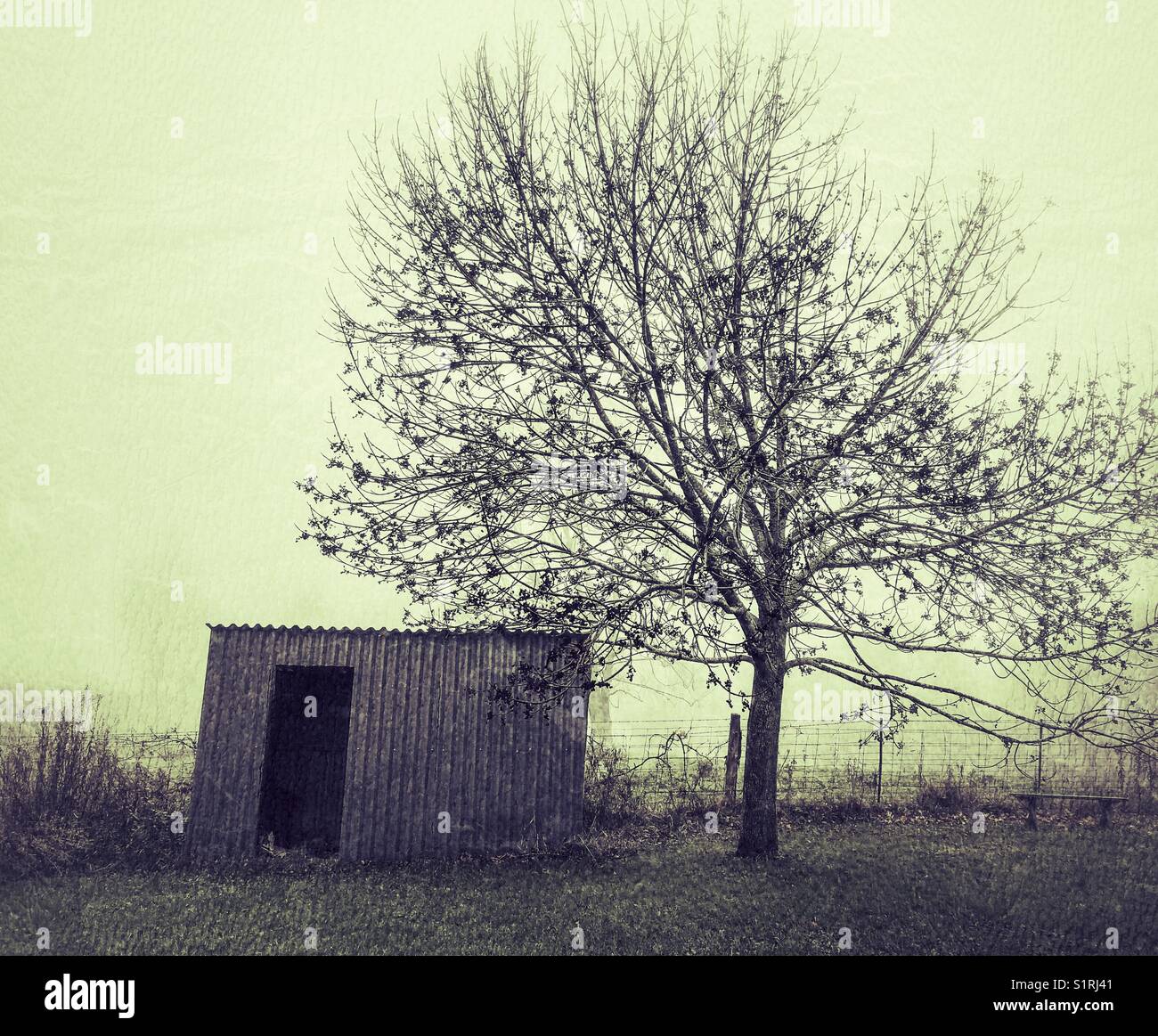 Creepy old metal slanted shed and tree with foggy background Stock Photo