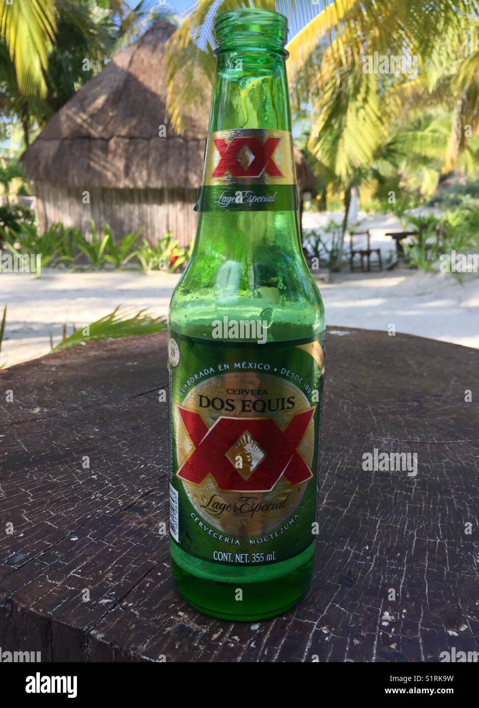 dos equis beer bottle