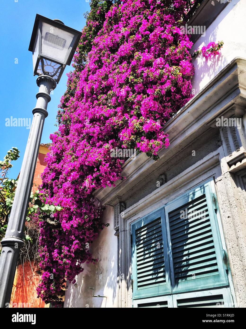 Sorrento italy flowers hires stock photography and images Alamy
