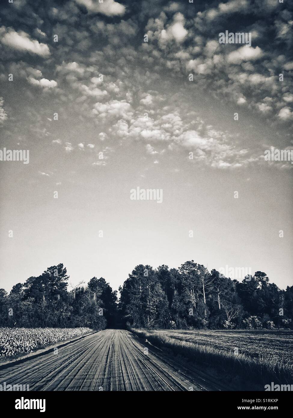 Road cloudy sky hi-res stock photography and images - Alamy