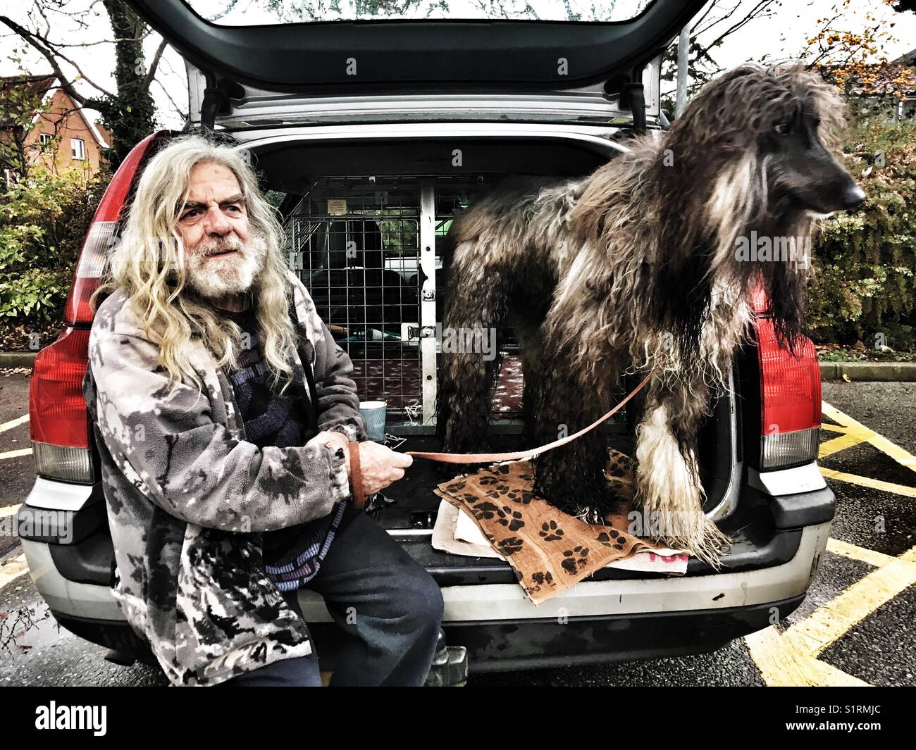 It's a dogs life - Smartphone Captured Stock Image