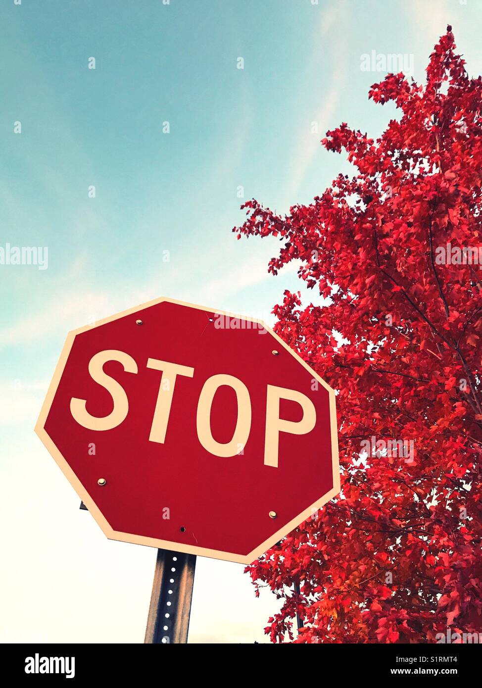 Stop - Smartphone Captured Stock Image
