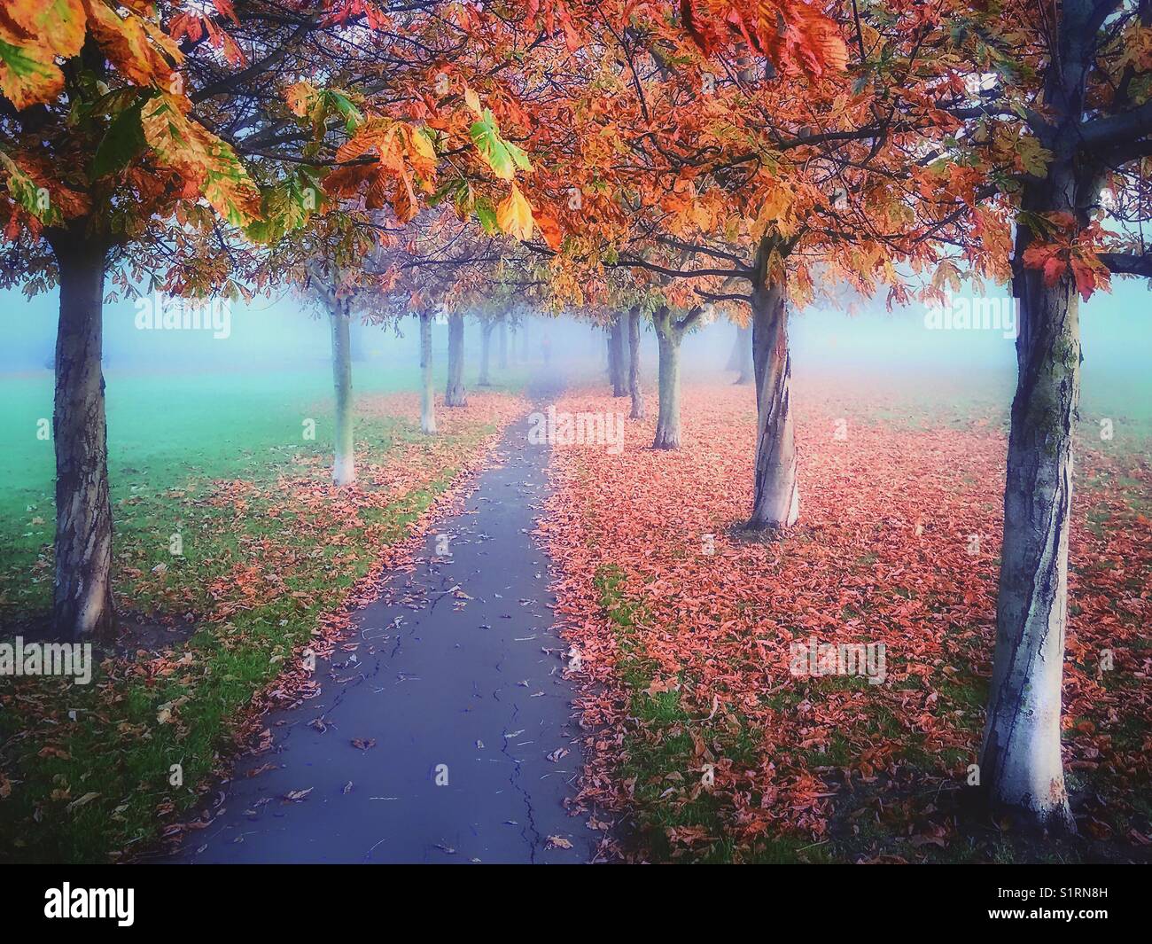 Autumn in Peckham Rye Park Stock Photo - Alamy