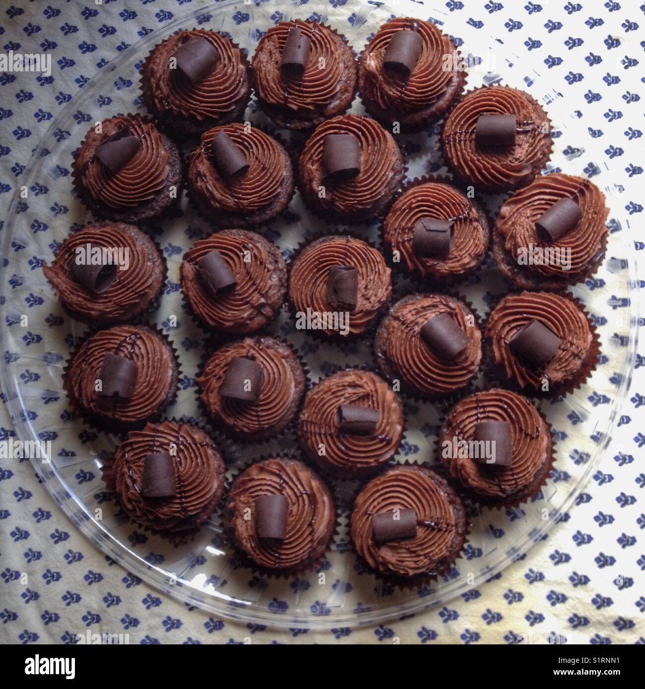 Chocolate Cupcakes on a plate. Stock Photo