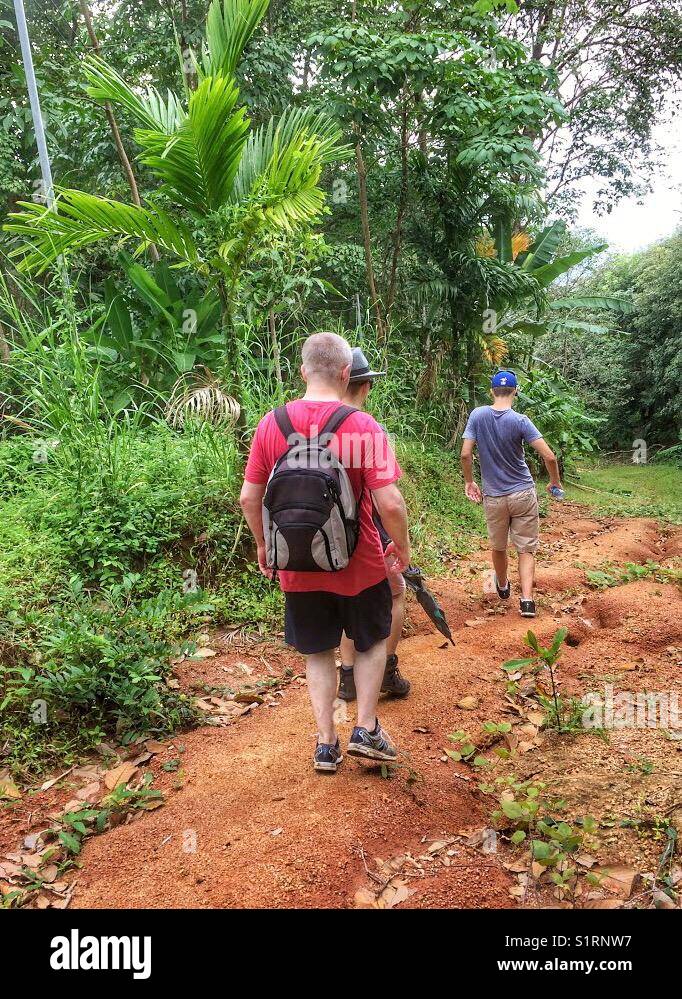 Friends trekking down a nature trail through woodlands from Karon view point to Kata Noi, Phuket, Thailand. Stock Photo