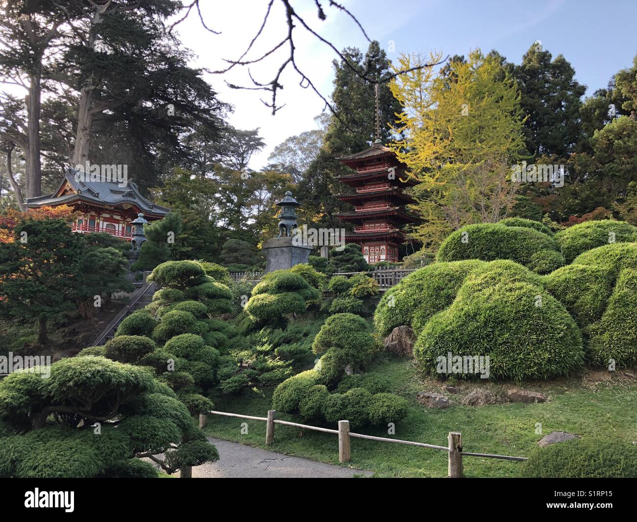 Japanese Tea Garden, San Francisco, California, USA Stock Photo Alamy