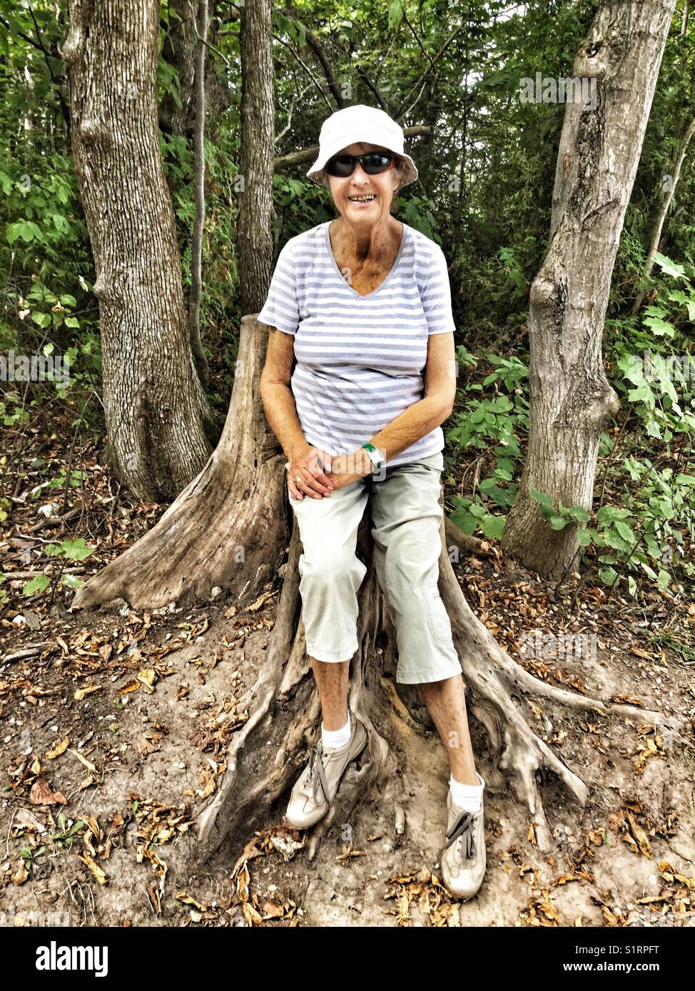 Elderly woman resting on a tree stump on a hiking trail through the woods. - Smartphone Captured Stock Image