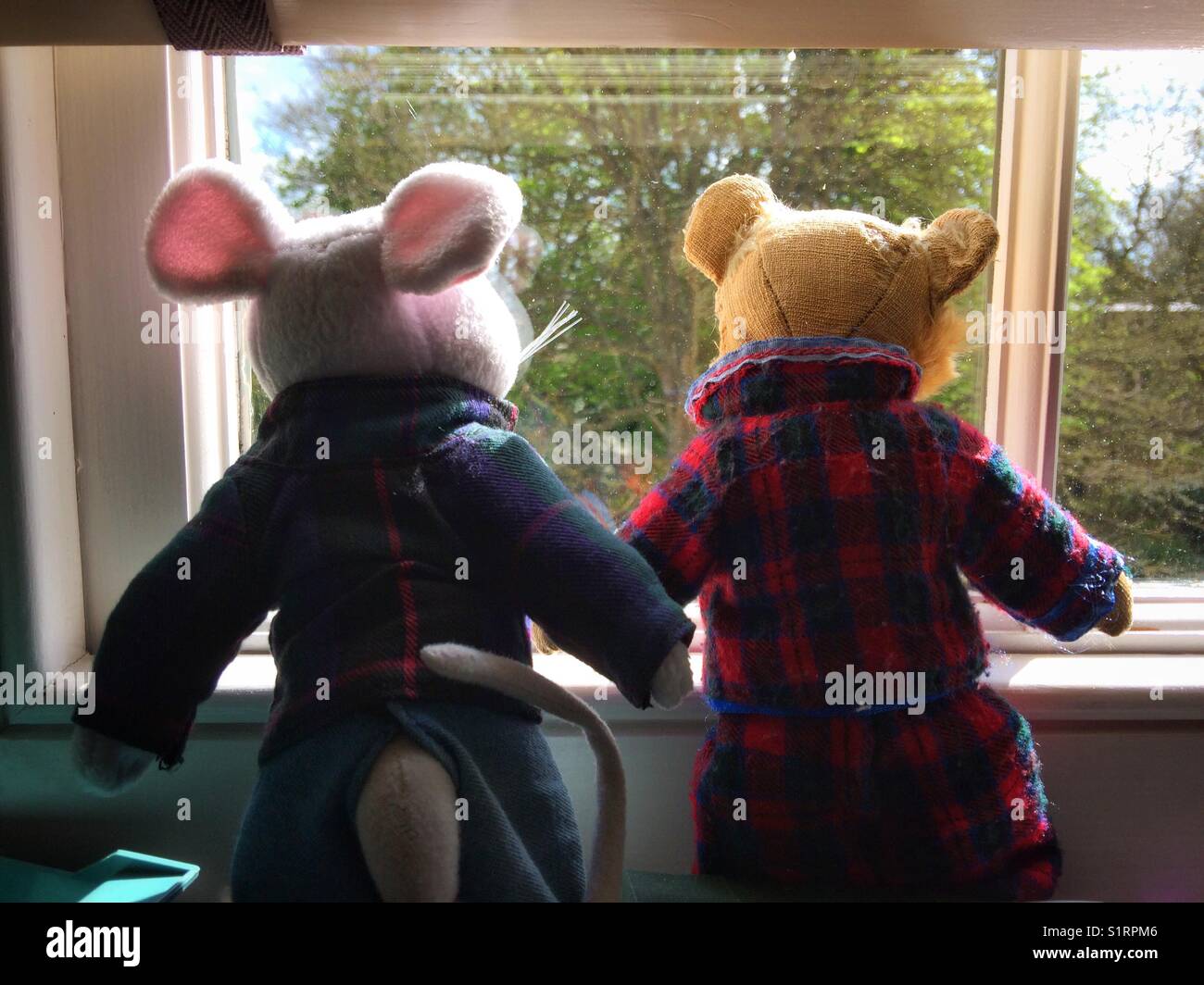 Toy Mouse & Teddy looking out of the window. - Smartphone Captured Stock Image
