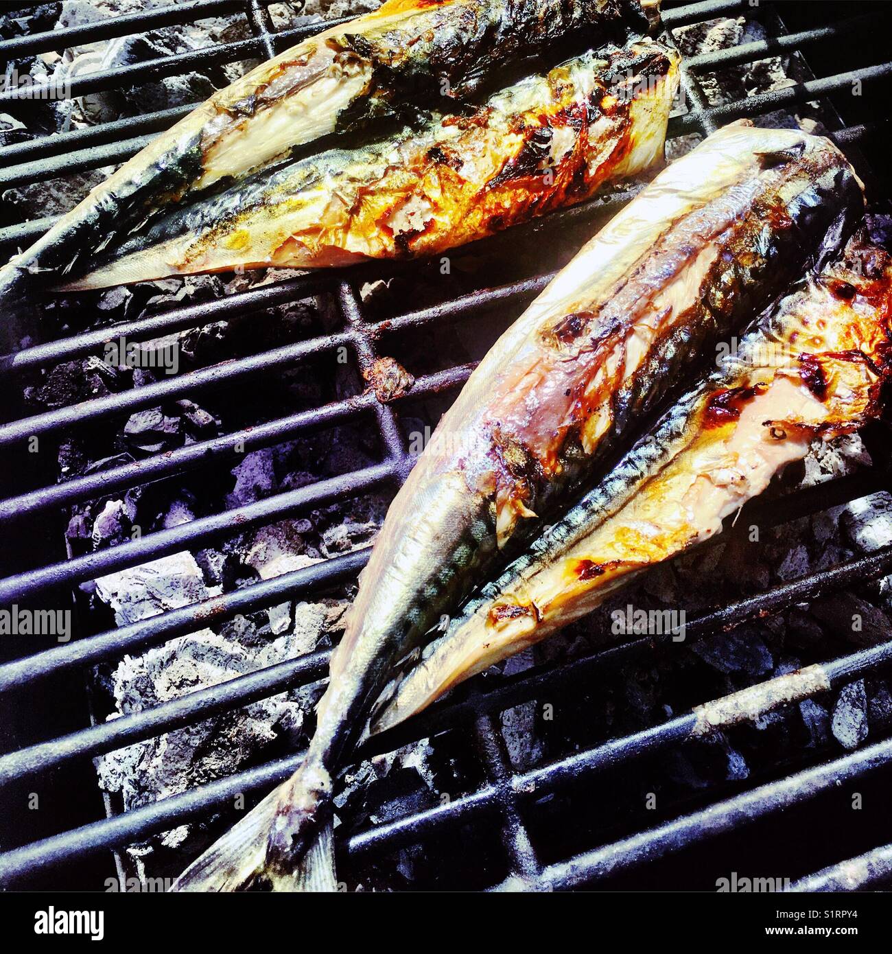 Bbq mackerel Stock Photo
