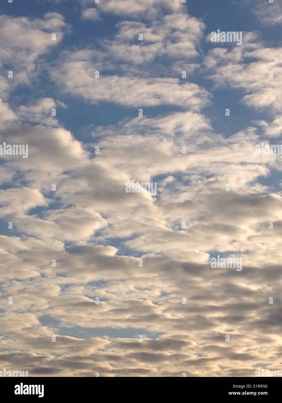 Washington State sky following a cold and foggy morning. Stock Photo