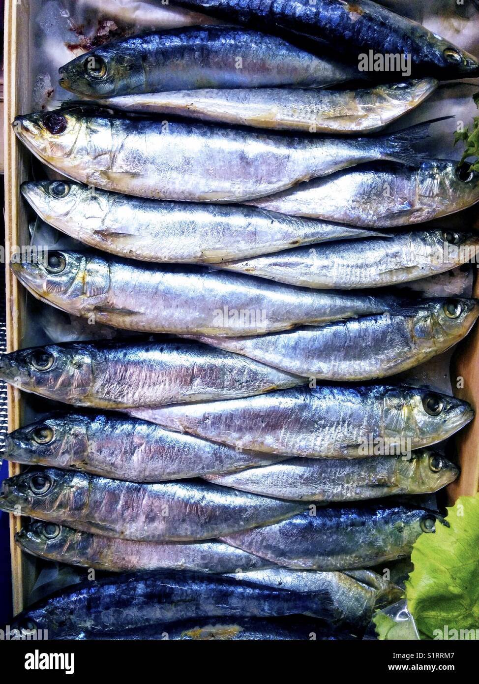 Salted sardines for sale Stock Photo Alamy