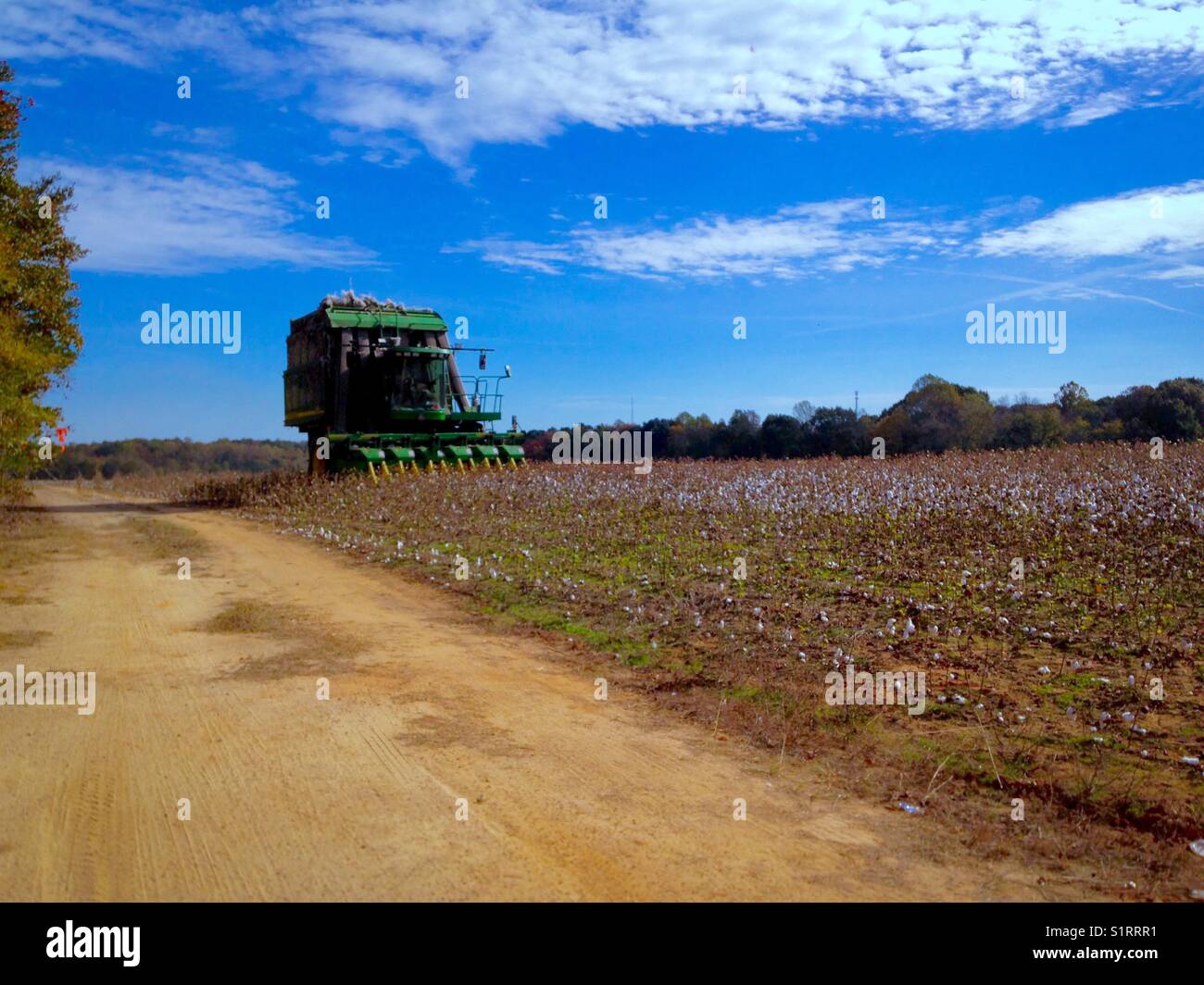Cotton harvest hi-res stock photography and images - Alamy