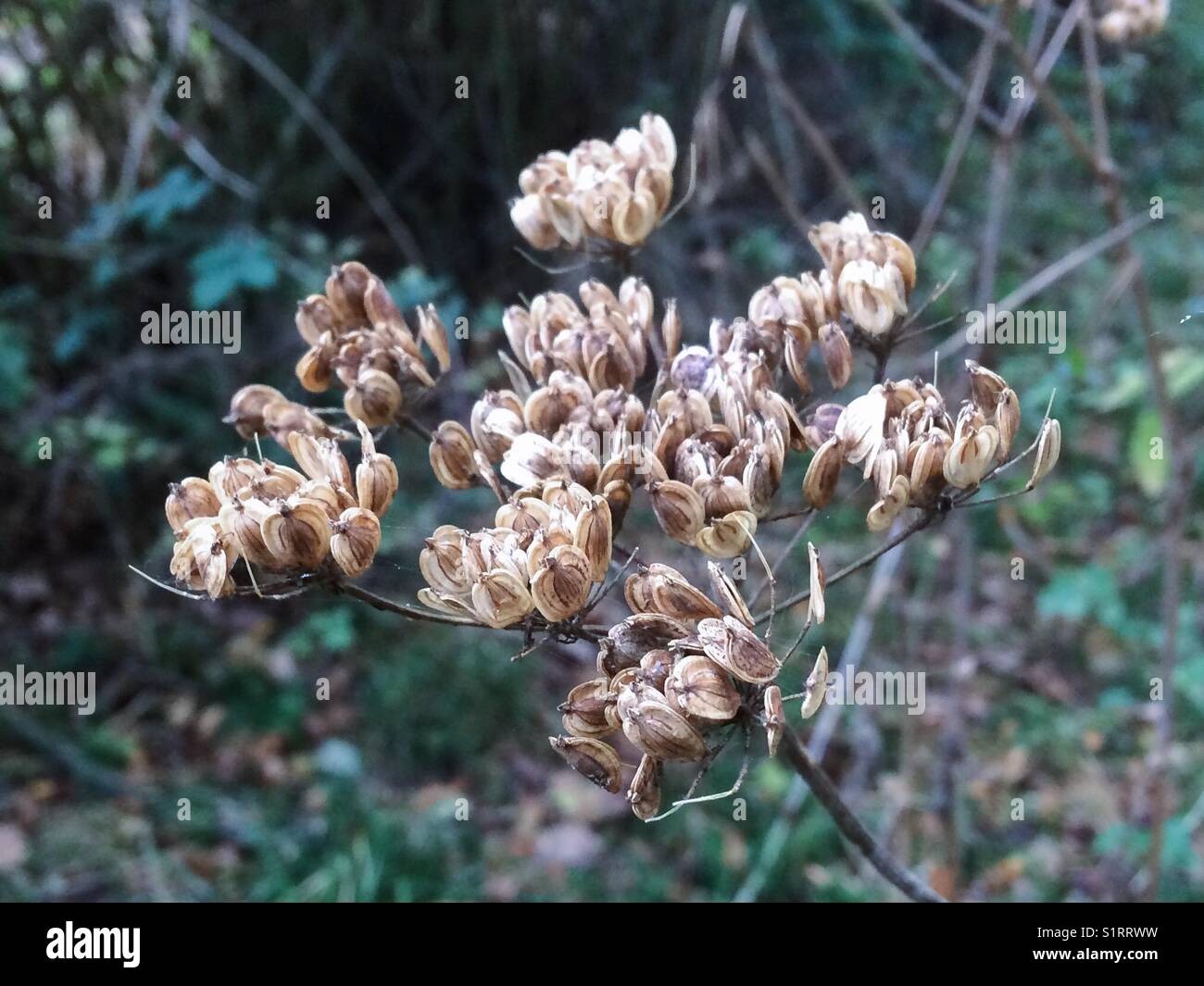 Random public hi-res stock photography and images - Alamy