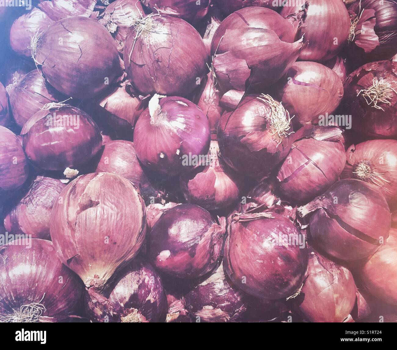 Large people of red onions in the supermarket - Smartphone Captured Stock Image