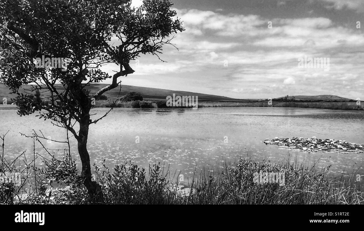 Back and white photo of Broad pool, Cefn Bryn, Gower, Wales. Stock Photo