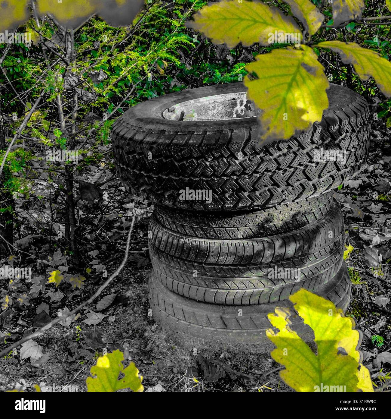 Stack of tires and green leaves - Smartphone Captured Stock Image