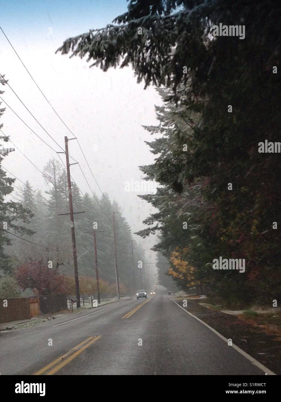 Poor visibility on a rural road in Washington State. Wet, snowy. Stock Photo