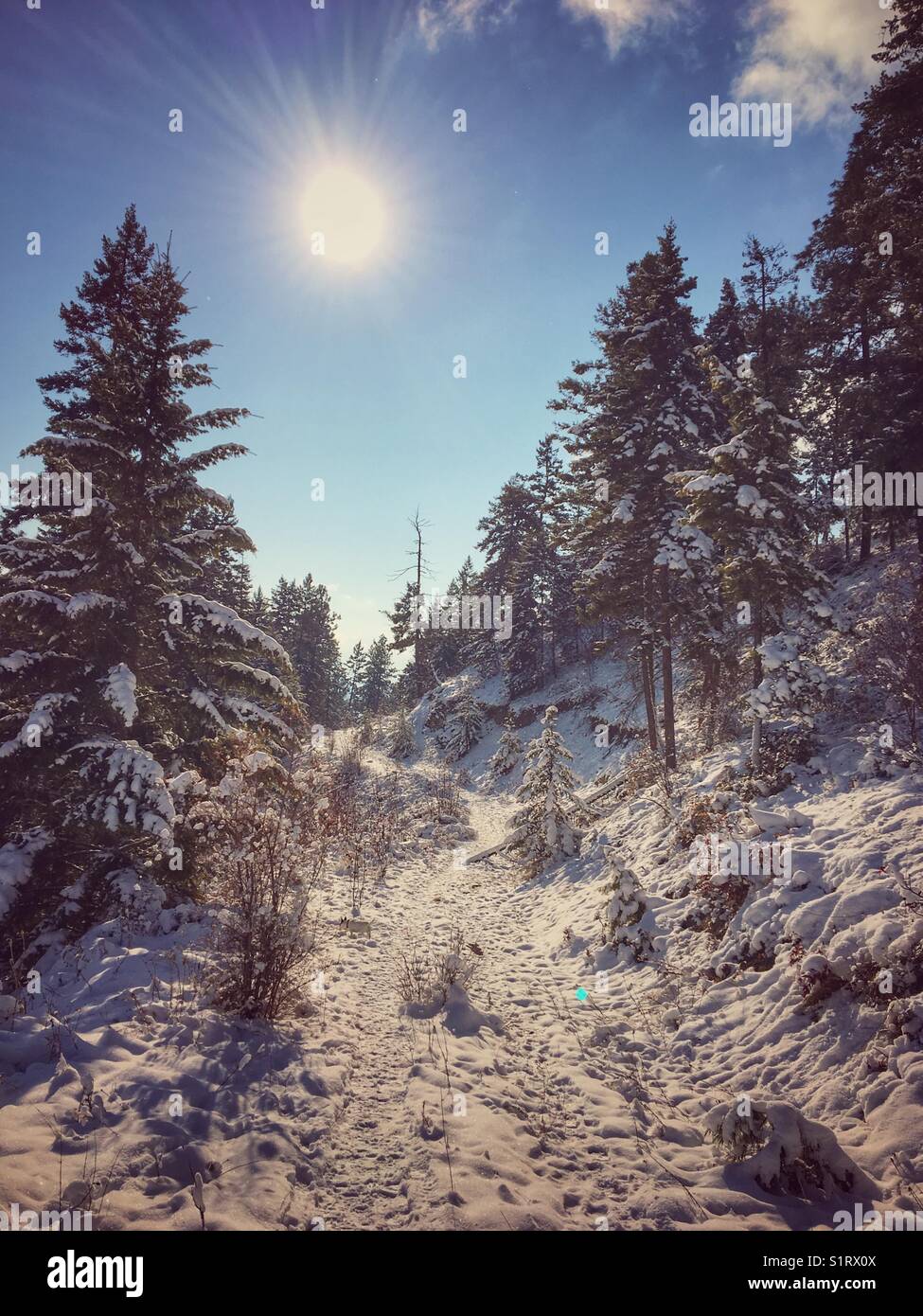 Cold Day Sun Cold bright sunny weather hi-res stock photography and images - Alamy