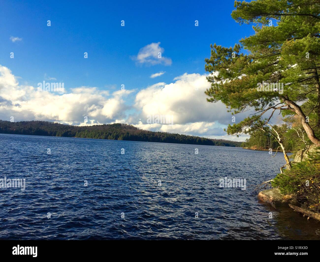 Blue Sky Lake At Forest Picture Stock Photo - Alamy