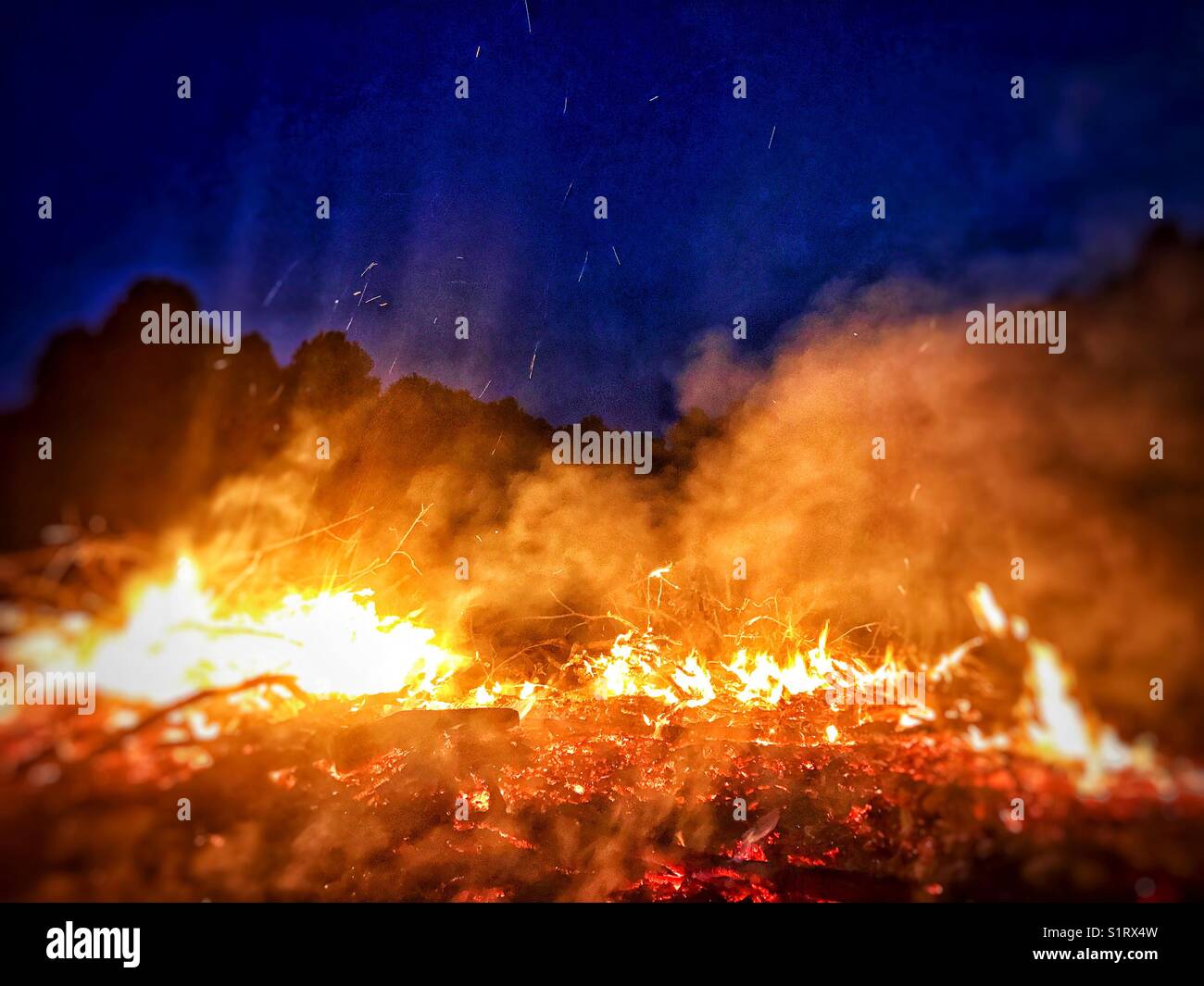 Detail of a brush fire. - Smartphone Captured Stock Image