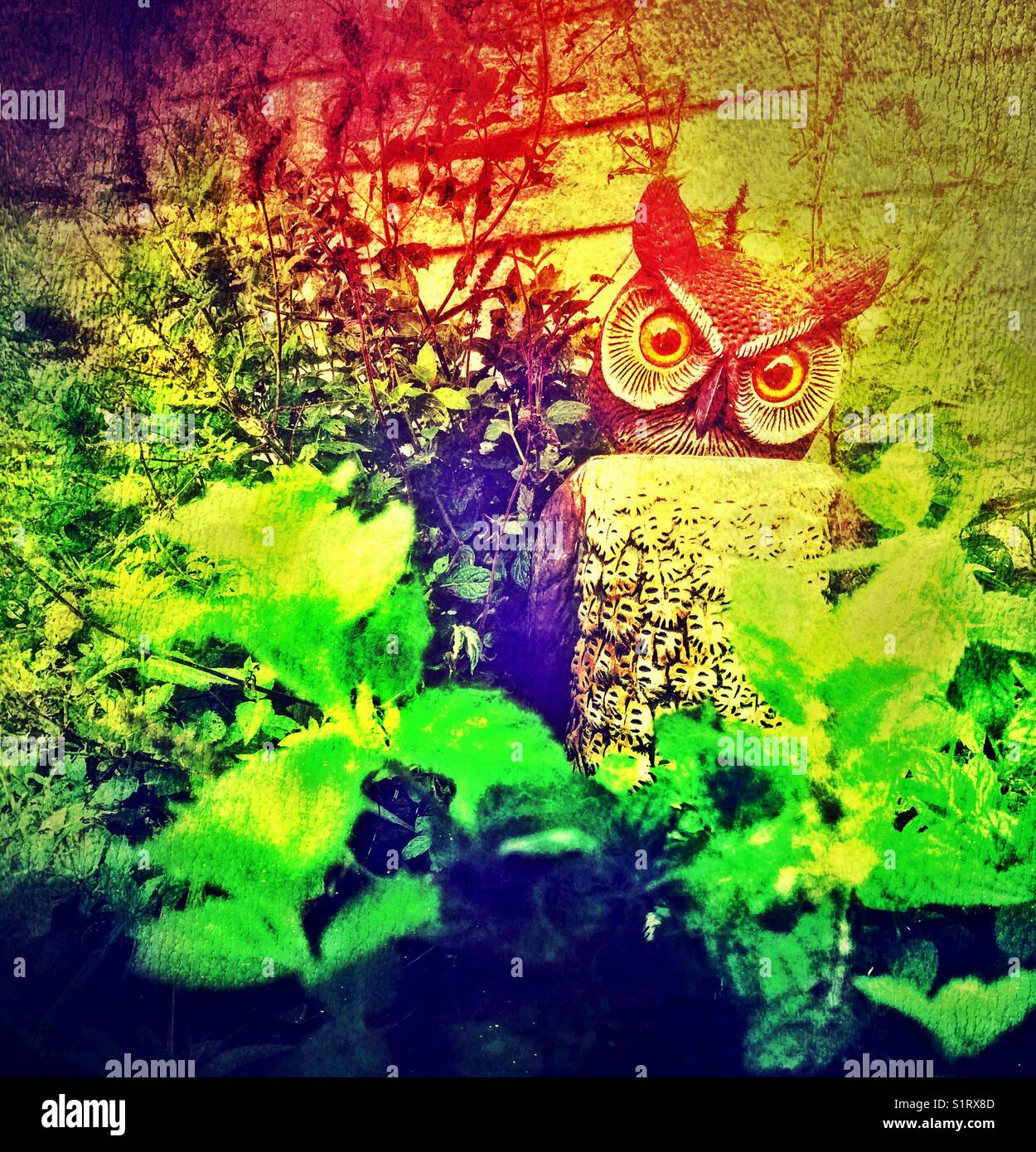 Colourful processing on image of creepy plastic owl in an herb garden - Smartphone Captured Stock Image