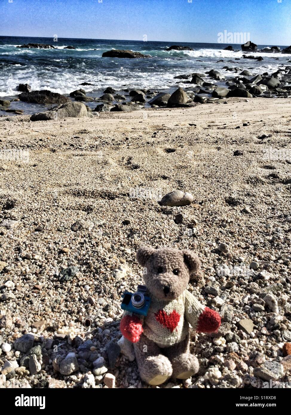 Stuffed teddy bear sitting on the beach - Smartphone Captured Stock Image