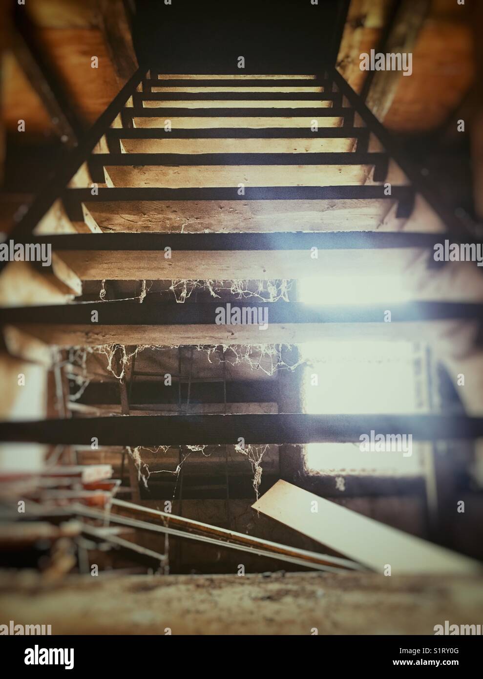 Creepy cobweb covered stairs leading to a dark room. Stock Photo