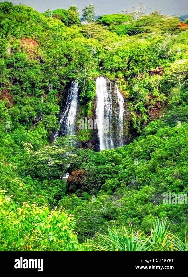 Kauai waterfall hi-res stock photography and images - Alamy