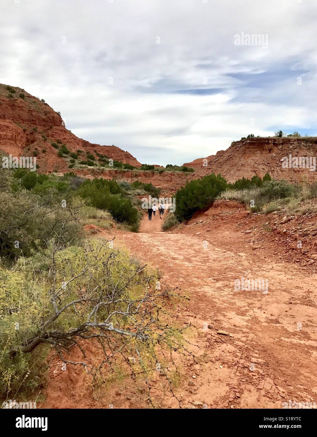 Caprock Canyons , Texas Hiking Trail Stock Photo Alamy
