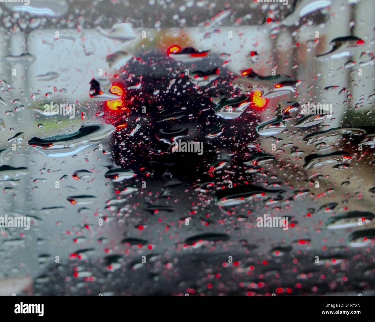 Waiting in the rain - Smartphone Captured Stock Image