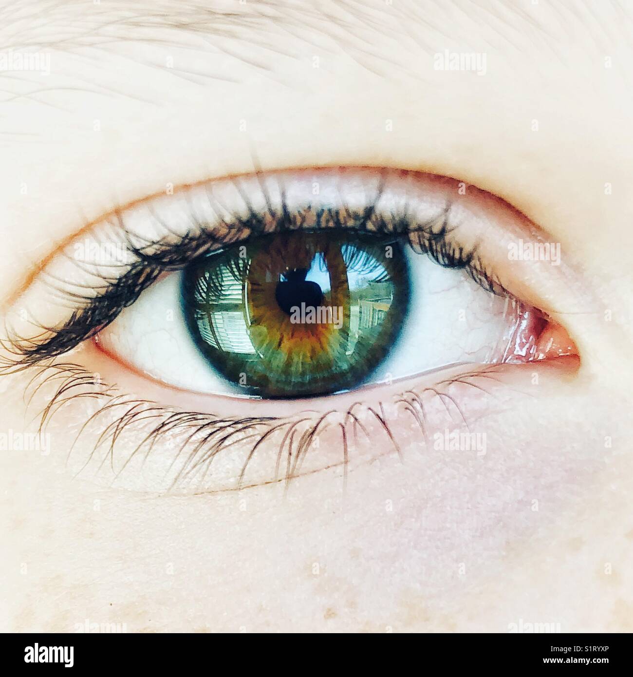 Close up image of a multi-colored eye - Smartphone Captured Stock Image