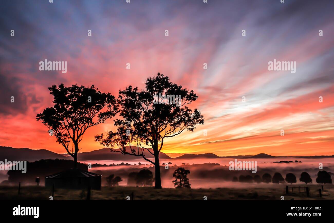 Sun rising over foggy valley with colourful sky - Smartphone Captured Stock Image