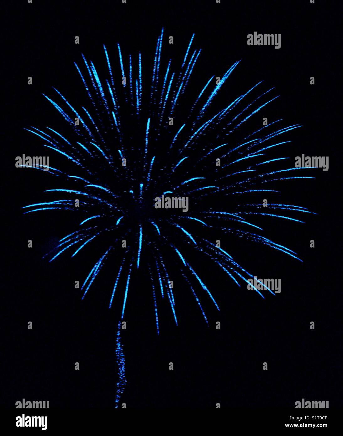 The symmetry of a blue exploding firework. This display was to celebrate the foiling of the Gunpowder Plot & deprived Guy Fawkes of destroying the Houses of Parliament in London. Photo © COLIN HOSKINS - Smartphone Captured Stock Image