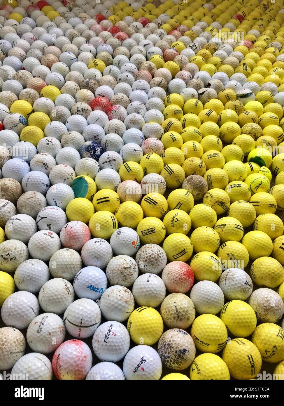 Sea of golf balls Stock Photo Alamy