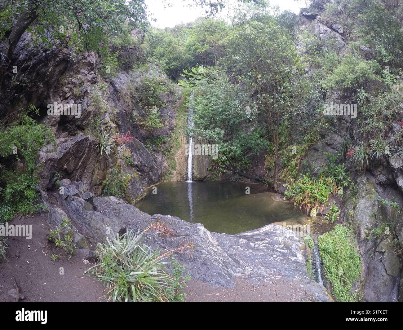 Waterfall in a Forest in Casa Bamba, Cordoba, Argentina Stock Photo - Alamy