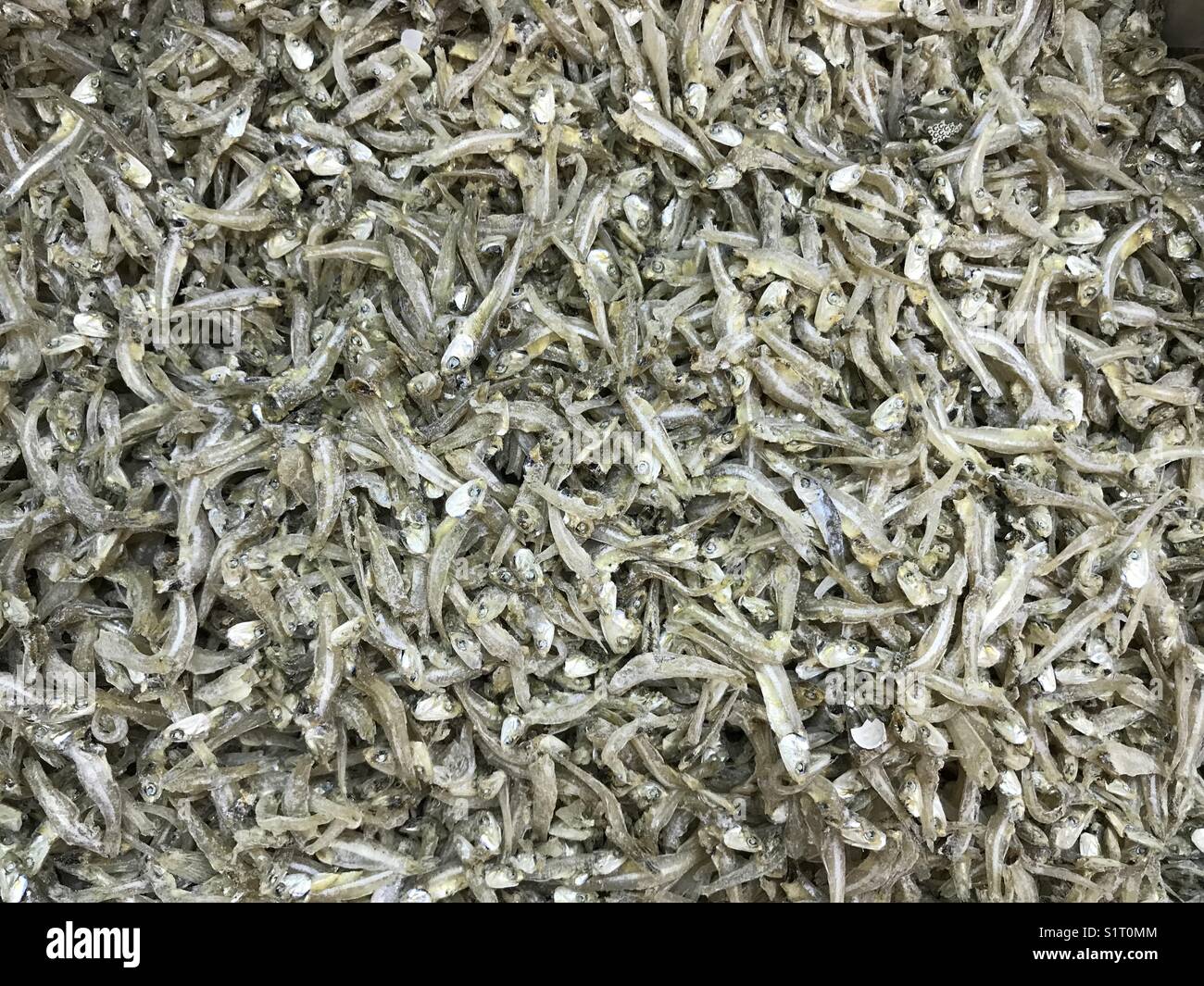 Dried anchovies hires stock photography and images Alamy
