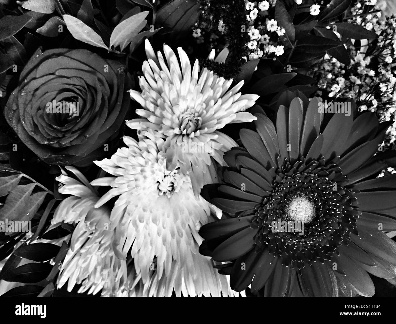 Black and white flowers bouquet 2017 Stock Photo Alamy