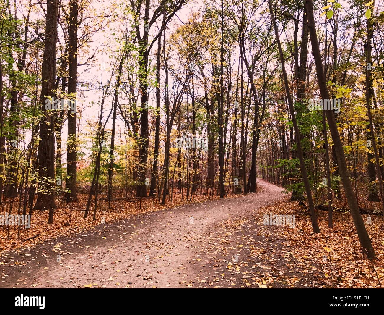 A walking and cycle path winding through woods during fall in Tallman State Park, New Jersey, USA. Stock Photo